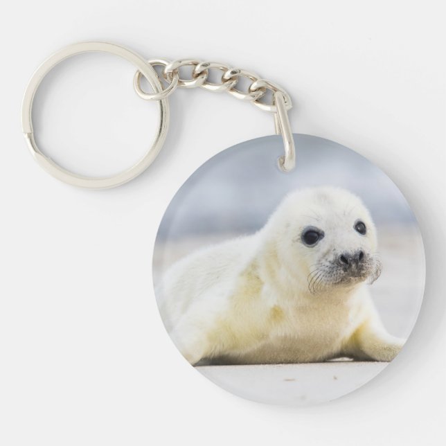 Getty Images | Baby Seal Keychain (Front)