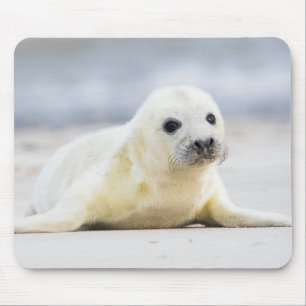 Getty Images Baby Seal Mouse Pad