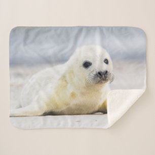 Getty Images Baby Seal Sherpa Blanket