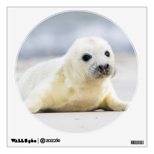 Getty Images   Baby Seal Wall Sticker