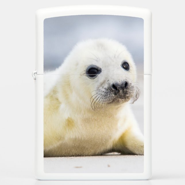 Getty Images | Baby Seal Zippo Lighter (Front)
