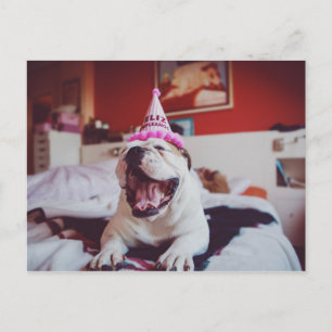 Getty Images   British Bulldog Postcard