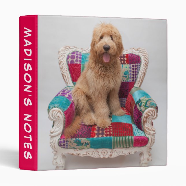 Getty Images | Cute Goldendoodle Binder (Front/Spine)