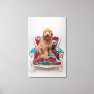 Getty Images Cute Goldendoodle Canvas Print