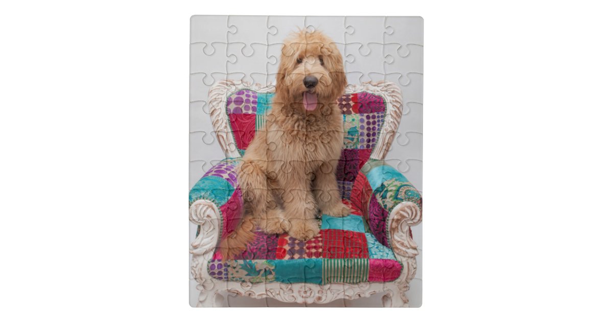 Getty Images Cute Goldendoodle Jigsaw Puzzle Zazzle