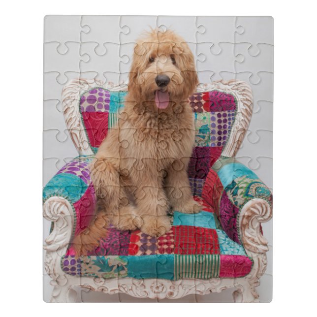 Getty Images | Cute Goldendoodle Jigsaw Puzzle (Puzzle Vertical)