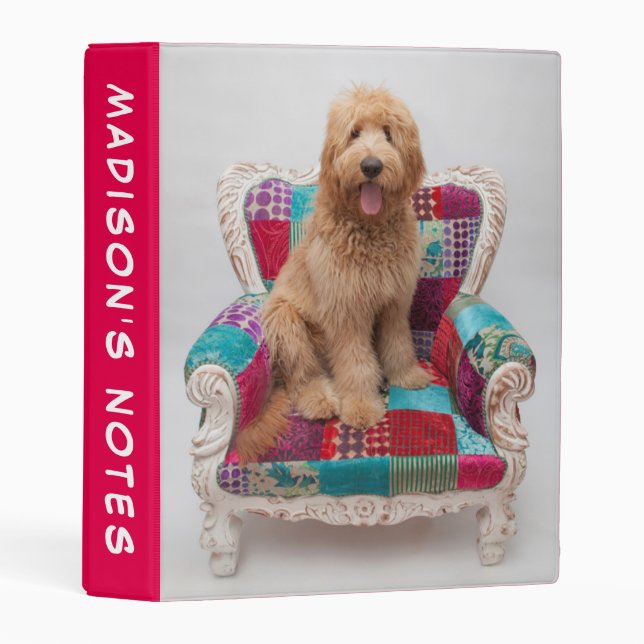Getty Images | Cute Goldendoodle Mini Binder (Front/Spine)