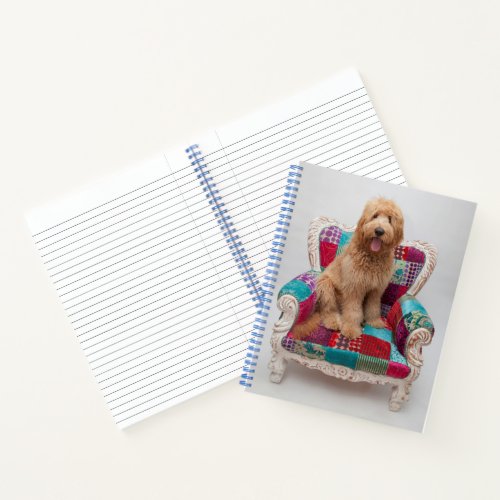 Getty Images  Cute Goldendoodle Notebook