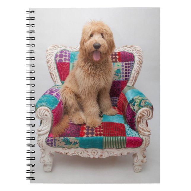 Getty Images | Cute Goldendoodle Notebook (Front)