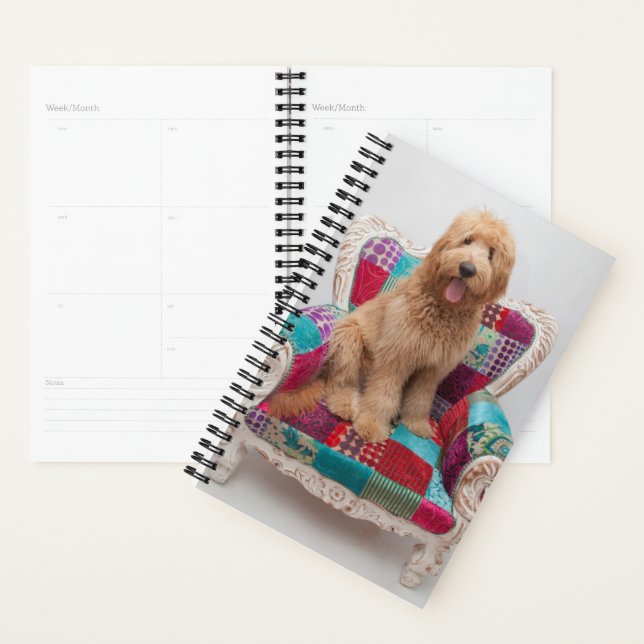 Getty Images | Cute Goldendoodle Planner (Display)