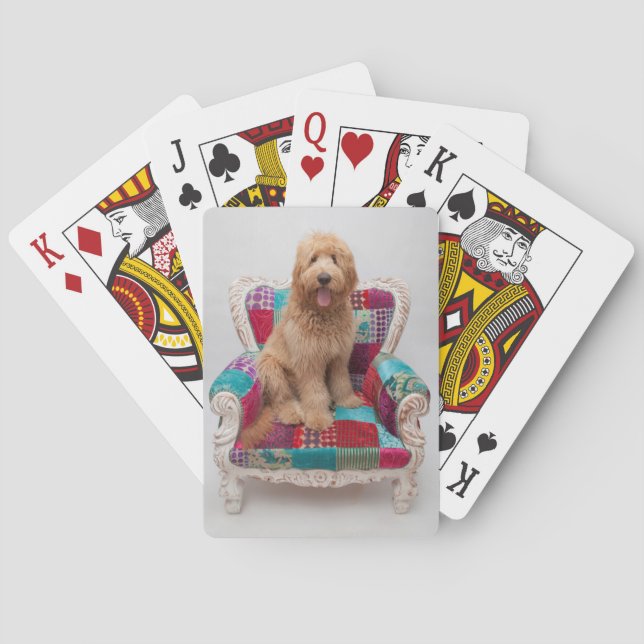 Getty Images | Cute Goldendoodle Poker Cards (Back)