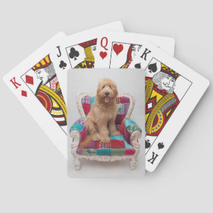 Getty Images Cute Goldendoodle Poker Cards