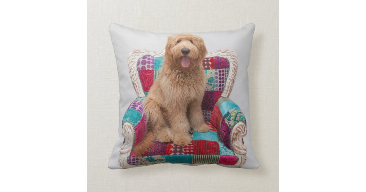 goldendoodle pillow pottery barn