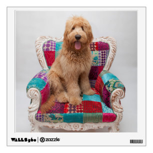 Getty Images Cute Goldendoodle Wall Sticker