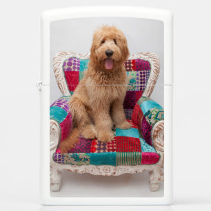 Getty Images Cute Goldendoodle Zippo Lighter