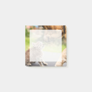 Getty Images Dog & Cat In Love Post-it Notes