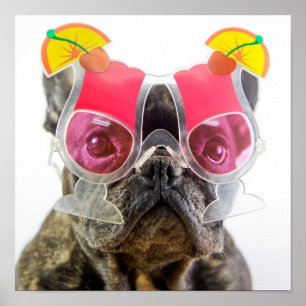 Getty Images Dog With Cocktail Glasses Poster