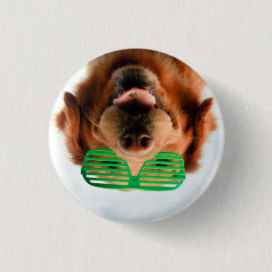 Getty Images Dog With Glasses Button