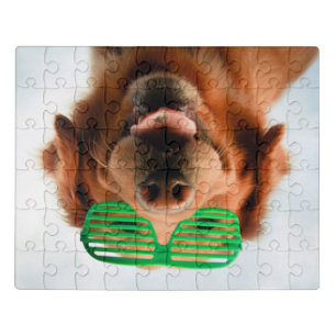 Getty Images   Dog With Glasses Jigsaw Puzzle