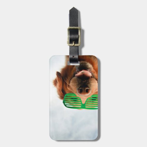 Getty Images  Dog With Glasses Luggage Tag