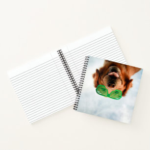 Getty Images Dog With Glasses Notebook