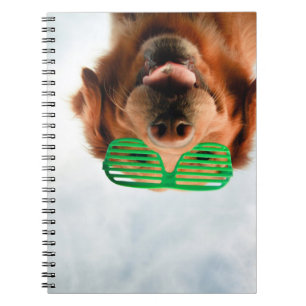 Getty Images Dog With Glasses Notebook