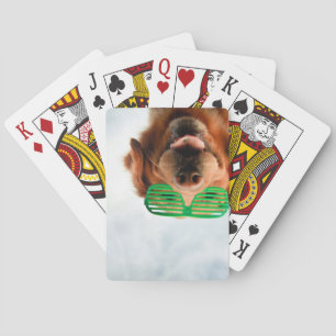 Getty Images Dog With Glasses Poker Cards