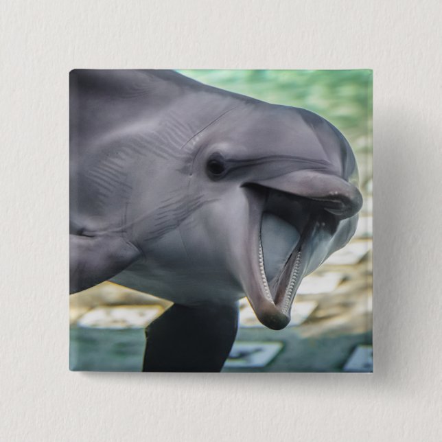 Getty Images | Dolphin Button (Front)