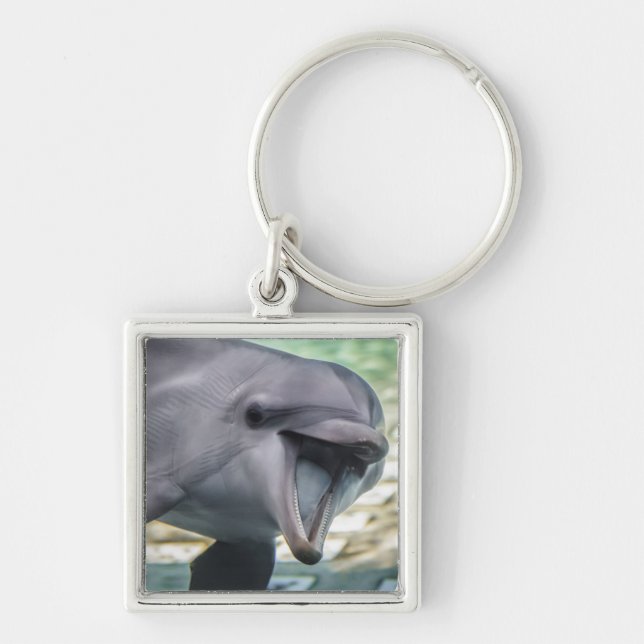 Getty Images | Dolphin Keychain (Front)