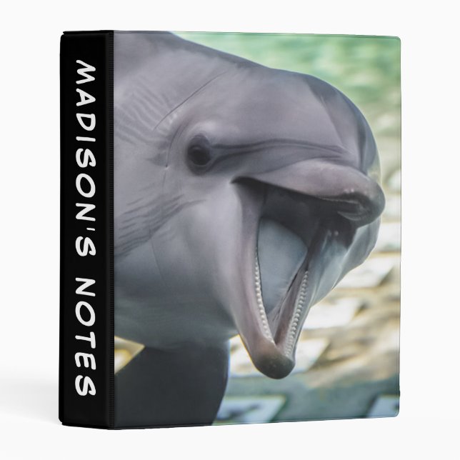 Getty Images | Dolphin Mini Binder (Front/Spine)