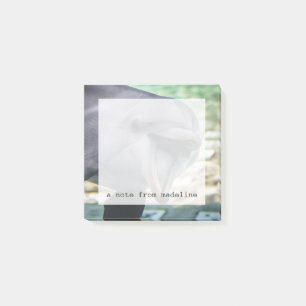 Getty Images   Dolphin Post-it Notes
