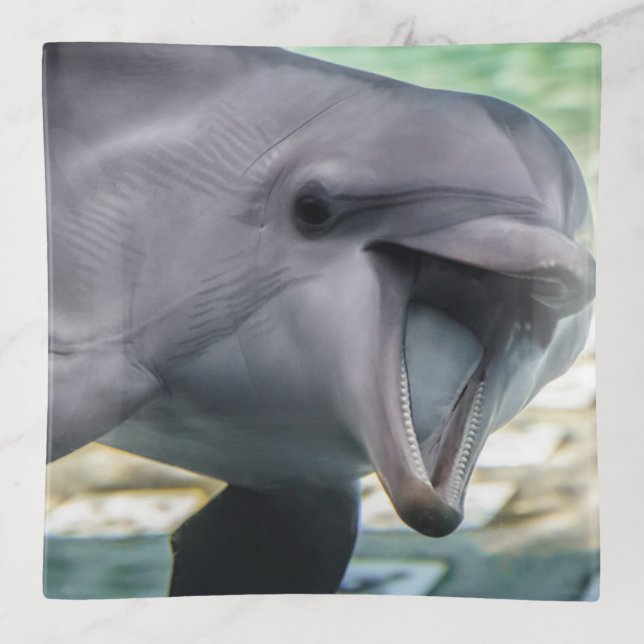 Getty Images | Dolphin Trinket Tray (Front)
