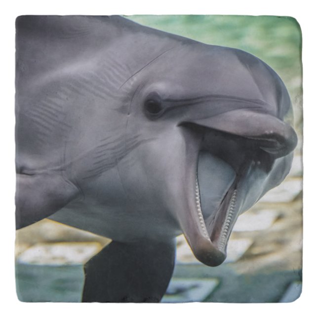 Getty Images | Dolphin Trivet (Front)