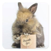 Getty Images | Dwarf Rabbit Square Sticker Getty Images | Dwarf Rabbit Square Sticker