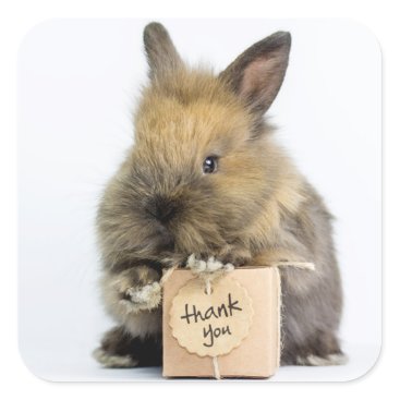 Getty Images | Dwarf Rabbit Square Sticker
