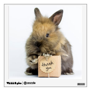 Getty Images | Dwarf Rabbit Wall Sticker