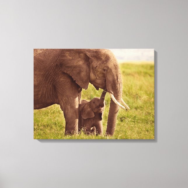 Getty Images | Elephant & Baby Canvas Print (Front)