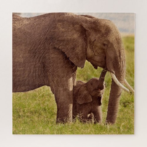 Getty Images  Elephant  Baby Jigsaw Puzzle