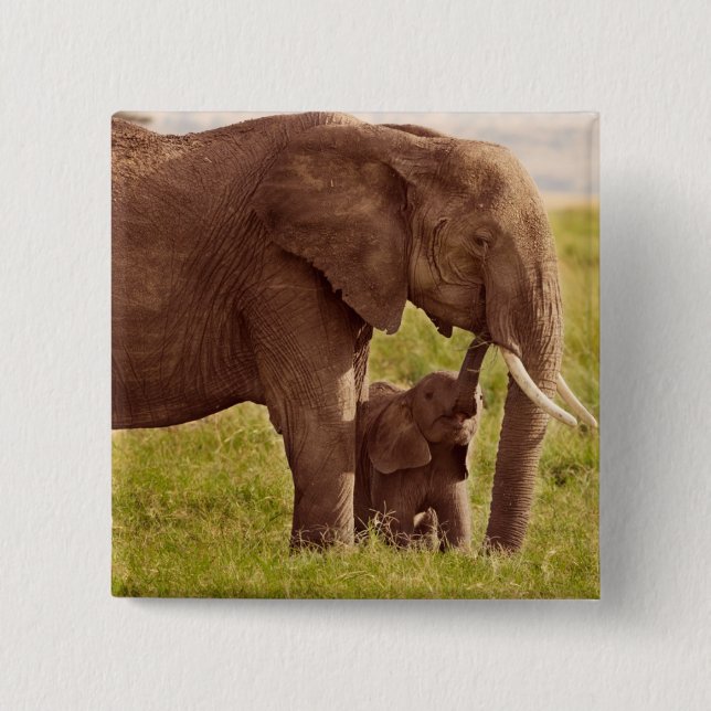 Getty Images | Elephant & Baby Pinback Button (Front)