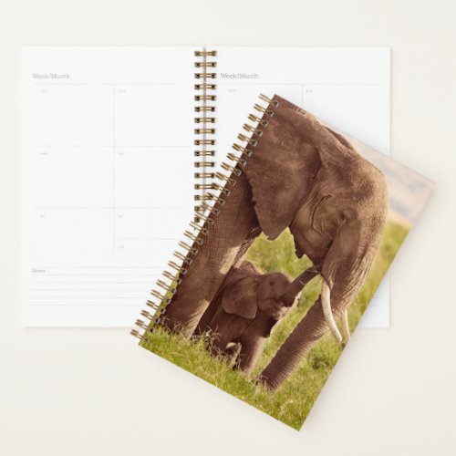 Getty Images  Elephant  Baby Planner