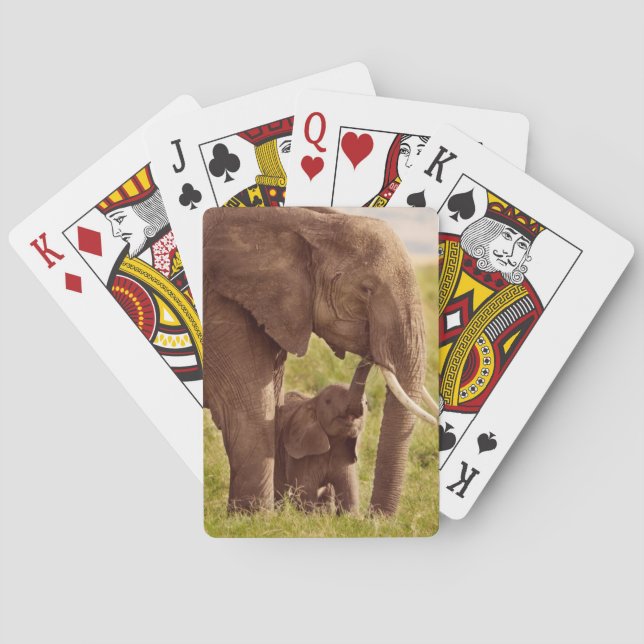 Getty Images | Elephant & Baby Poker Cards (Back)