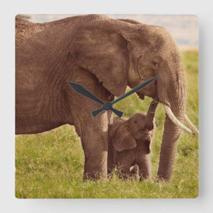 Getty Images Elephant & Baby Square Wall Clock