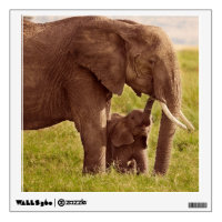 Getty Images | Elephant & Baby