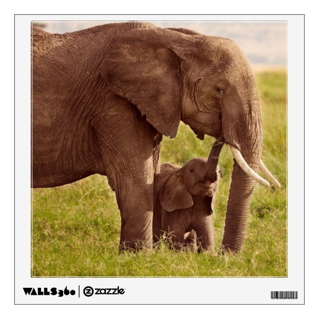Getty Images | Elephant & Baby Wall Sticker (Front)