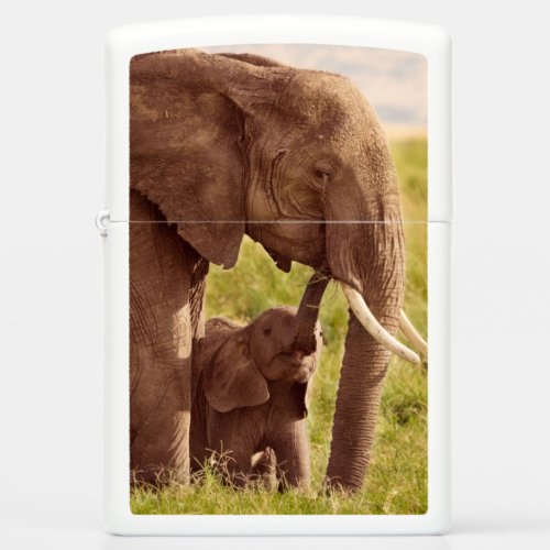 Getty Images  Elephant  Baby Zippo Lighter