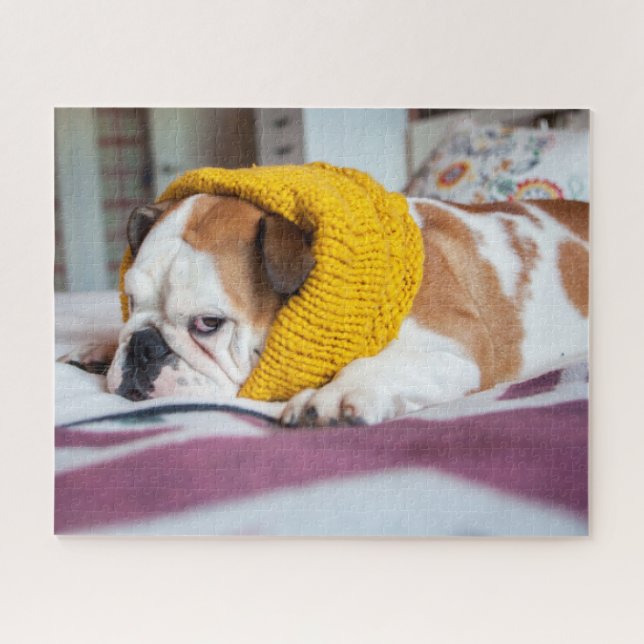 Getty Images | English Bulldog Jigsaw Puzzle (Horizontal)