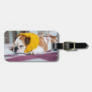 Getty Images English Bulldog Luggage Tag