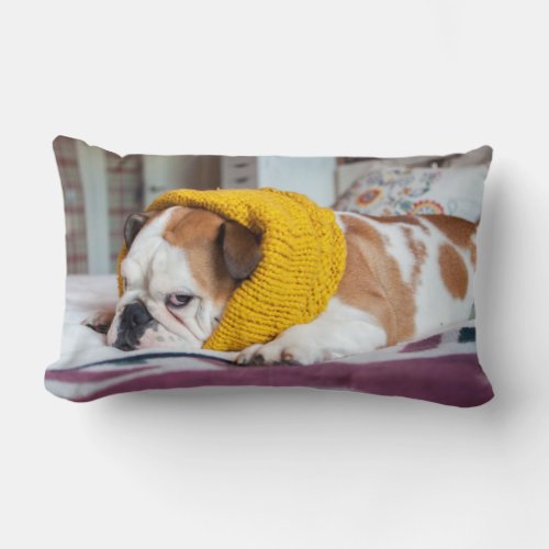 Getty Images  English Bulldog Lumbar Pillow