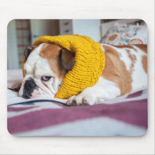 Getty Images English Bulldog Mouse Pad
