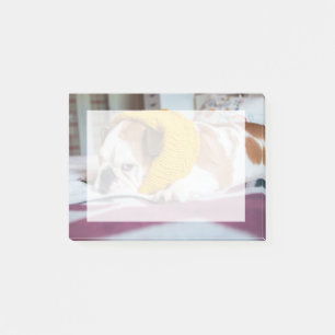 Getty Images English Bulldog Post-it Notes